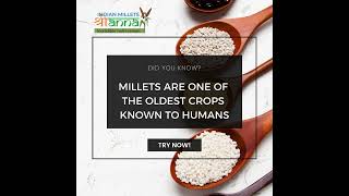 Ancient Grains for a Sustainable Future | Indian Millets