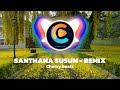 Santhana Susum - Remix  (Chamy Beats)