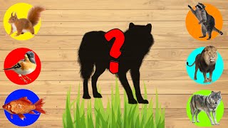 Try To Guess The Animal Cute Animals Wolf, Raccoon, Lion, Squirrel, Bird, Fish, 이,늑대,너구리,사자,다람쥐,새,물고