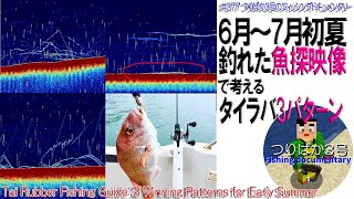 #377【高松タイラバ】魚探画像でみる6月～7月パターン！