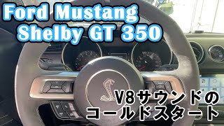 【V8マスタング エンジン音】マスタング シェルビーGT350の冬のコールドスタート