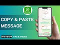 How To Copy And Paste Message In WhatsApp