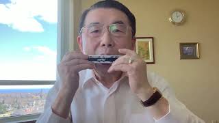 《快乐家庭变奏曲》Tremolo Harmonica Solo 口琴独奏