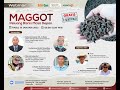 Webinar: Maggot, Peluang Bisnis Masa Depan