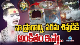 Lady Aghori Naga Sadhu Return To Hyderabad | Twist In Muthyalamma Temple Issue | ZEE  Telugu News