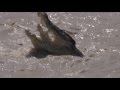 Kakadu National Park Australia Barramundi fishing