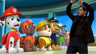 Bully Maguire in Paw Patrol