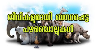 ജീവികളുമായി ബന്ധപ്പെട്ട പഴഞ്ചൊല്ലുകൾ | proverbs about animals | Malayalam proverbs | fathu's world