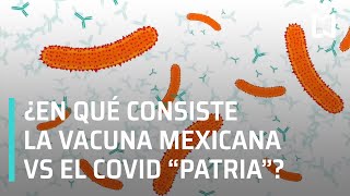Vacuna Patria | ¿En qué consiste la vacuna mexicana Patria? - A las Tres