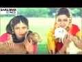 Nava Manmadhuda Video Song || Pelli Sandadi Movie ||    Srikanth,Srikanth, || Shalimar Songs