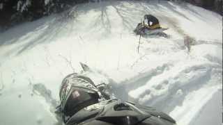 Backcountry Snowmobiling - Eric Stuck \u0026 Tree Trim