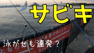 【若洲海浜公園】サビキと泳がせ釣りしてみたら・・・【秋は良く釣れるの？】