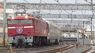 「カシオペア紀行上野発青森行きに伴う団体臨時列車」国鉄EF81形139号機＋E26系12Bが南浦和〜蕨間通称ワラナンを通過する動画 2023.4.8