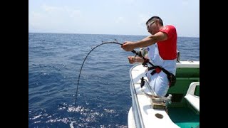 【究極の1本】泳がせ釣り2019/5/13 究極の一本を追いかけてin銭洲