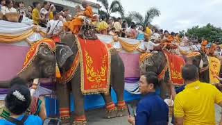 ทำบุญตักบาตรบนหลังช้าง