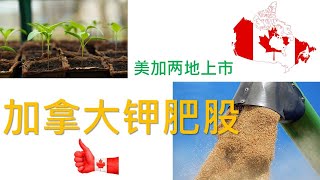 美股投资，加股投资|加拿大钾肥股Nutrien，值得投资吗？加拿大有资源优势的股票？世界人口膨胀，有哪些农业相关股票值得投资？Covid-19疫情对世界粮食供应有何影响, 哪些股票将受益？