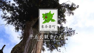 【Log.050／平五良観音の大杉】東吾妻町／群馬観光