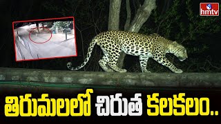 తిరుమలలో చిరుత కలకలం.. | Leopard Hulchul At Tirumala | hmtv