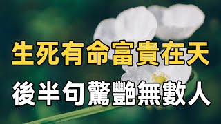 千古名句：生死有命富貴在天，下半句更是經典，可惜10個人有９個都不知道 | 俗語 | 佛禪