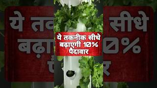 इस तकनीक से अगर लगाया आलू तो मिलेगी सीधा 15% ज्यादा पैदावार..#aeroponics#aeroponic #farming#shorts