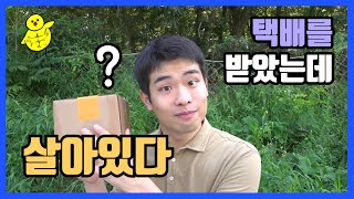 구독자님이 보내주신 첫 택배 개봉기