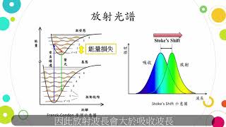 醫化三 c2組 實驗六 認識光譜儀