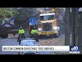 christmas tree from nova scotia arrives on boston common