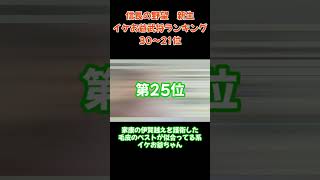 【信長の野望・新生】イケお爺ちゃん武将ランキング30～21位