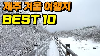 겨울에 꼭! 가봐야하는 제주도 겨울여행지 BEST 10 (12월, 1월, 2월 제주 여행코스 가볼만한곳)