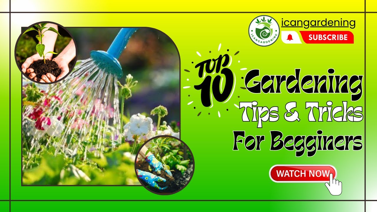 Top 10 Gardening Tips And Tricks For Beginners || IcanGardening - YouTube