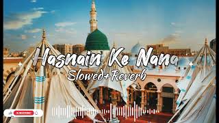 Aye Hasnain Ke Nana || Slowed+Reverb || LO-FI World || Milad Raza Qadri