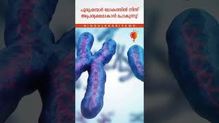 പുരുഷന്മാർ ലോകത്തിൽ നിന്ന് അപ്രത്യക്ഷമാകാൻ പോകുന്നു! | Men are going to disappear from the world