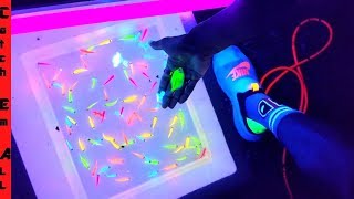 GLOW FISH Pond EXPERIMENT!