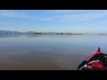 super natural bc from my kayak in the fraser river ladner bc