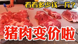 猪肉变价太吓人，看5月12日集市上卖多少钱一斤？大吃一惊~带你们看每天中国菜市场物价【茉茉妈vlog】