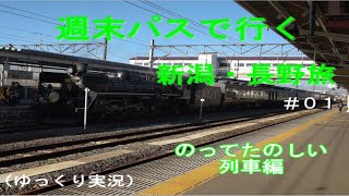 【鉄道旅ゆっくり実況】週末パスで行く新潟・長野旅～のってたのしい列車編～