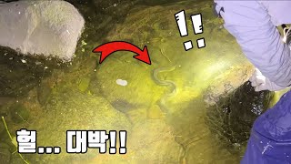 발목깊이 계곡 웅덩이의 돌맹이를 들어봤는데...세상에?! 침착해야해!!!