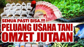 MAU CEPAT KAYA.??? PELUANG USAHA TANI DENGAN OMZET JUTAAN RUPIAH.