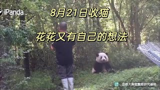 8.21谭爷爷接花叶下班，小叶子是开开心心地跑回去的