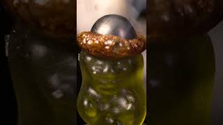 ASMR Gummy Bear vs Steel Ball close up macro #shorts #satisfying #closeup #asmr #macro