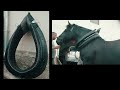 MAX !! AMAZING DRAFT HORSE  |test COLLAR| sanaspiritart #leatherwork