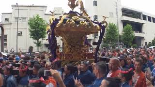 平成30年　中央区築地＜波除稲荷神社＞つきじ獅子祭「渡御祭」千貫神輿＝女性のみ肩入れ渡御