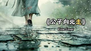 小女子不才，未得公子青睞，擾公子良久，公子勿怪 《公子向北走》#coversong #古风音乐