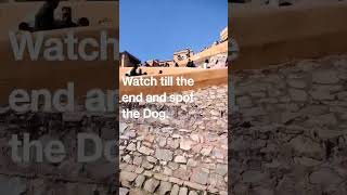 Time Lapse Of People Rush At Amer Fort Jaipur  - #shorts #amerfortjaipur #travel