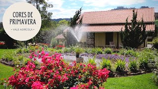 Casal de agricultores mantém jardim que encanta!