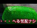 【実験】アリの巣コロリ