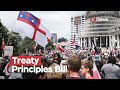 ACT leader optimistic on future of his Treaty principles stance