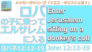 2025-01-19ToJaCC礼拝メッセージ「ロバの子に乗ってエルサレムに入る」ヨハネ12:12-19（玉井芳恵）