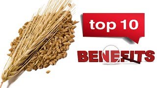 Top 10 Barley Health Benefits For Men \u0026 Women - Why Barley Good For Heath - Amazing Health Benefits