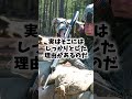 Q:戦場ではなぜ砂袋が弾除けとして使われるの？